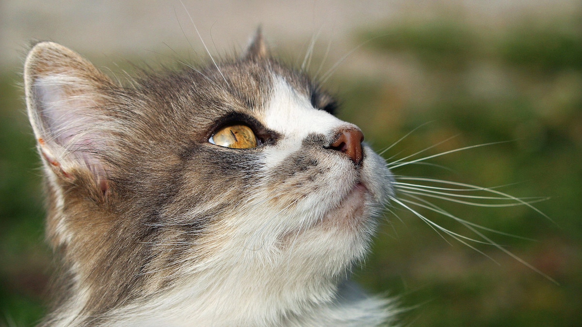 FIT FOR FUN tweet media