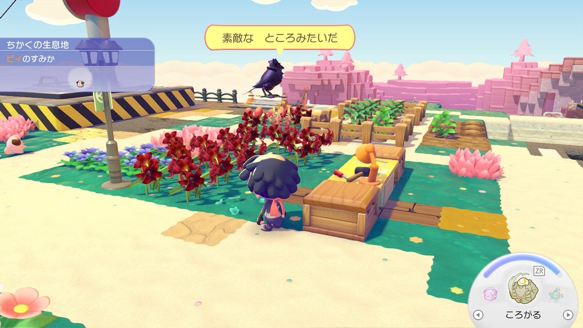 🎮げーみんぐみぃと🐶 tweet media