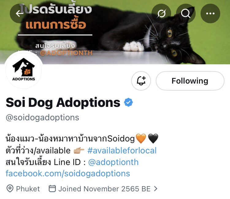Mo10447913Mo's tweet photo. = ^ ̳ᴗ  ̫ ᴗ ̳^  ▼・ᴥ・▼=
“จากข้างถนน…สู่ข้างหัวใจคุณได้ไหม”
#WorldStrayAnimals Day - April 4, 2026

หากคุณพร้อมที่จะรักและรับเลี้ยงน้องแมวจร หรือน้องหมาจรสักตัว ขอเชิญนะคะที่
@johnjud_cu 
@soidogadoptions 
@CatsterClub 

#AdoptDontShop 
#AdoptDontBuy 
#AdoptAShelterCat https://t.co/p6KK98vOIn