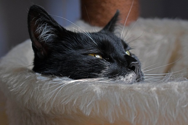 Robbin Stuessy tweet media