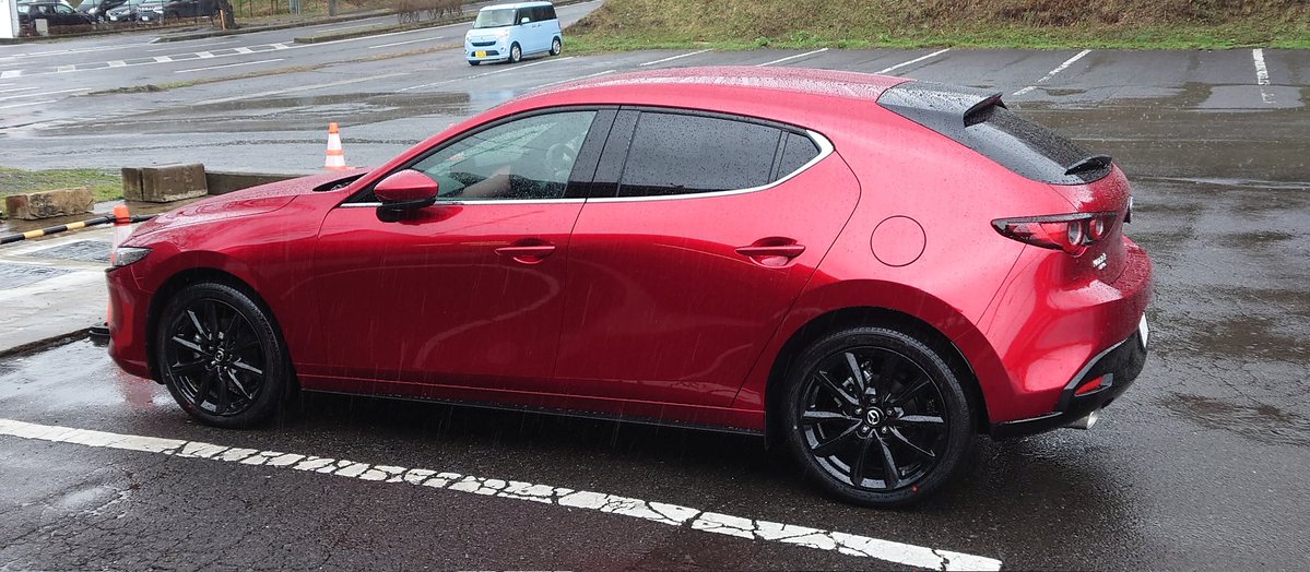 Vivid🌺 tweet media