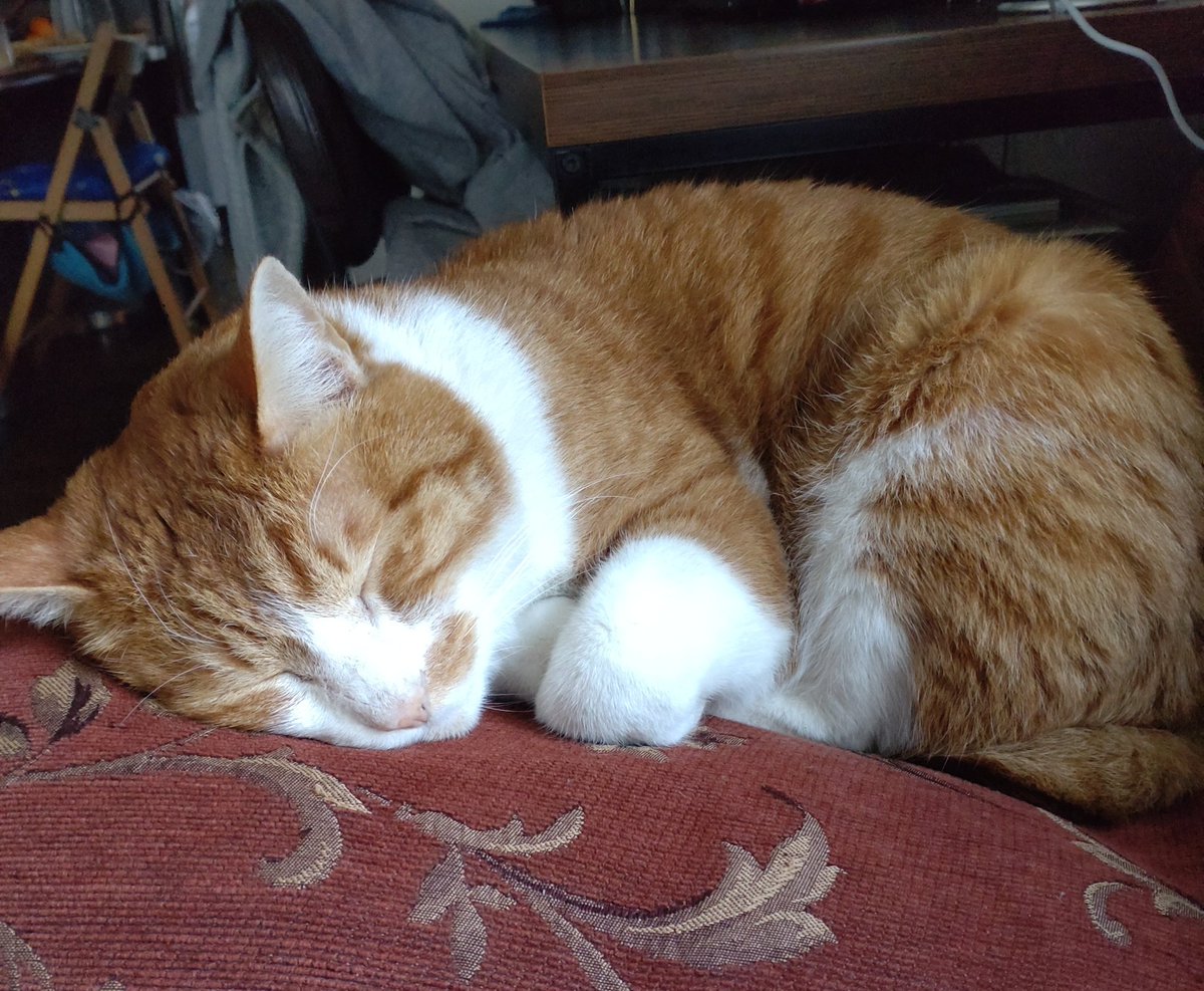 ハッピーターン tweet media