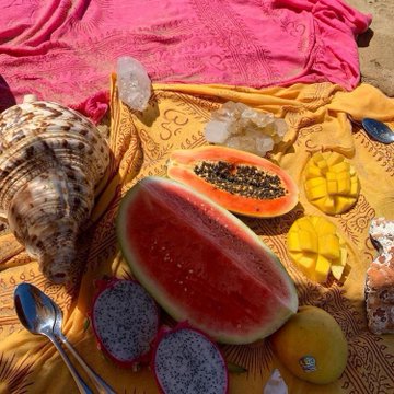 _bybenigna's tweet photo. sun bathing https://t.co/iEW4jhof8f