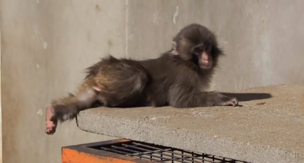 baekhyun_a tweet media