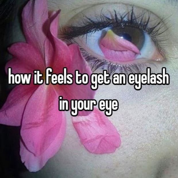 femmenotes tweet media