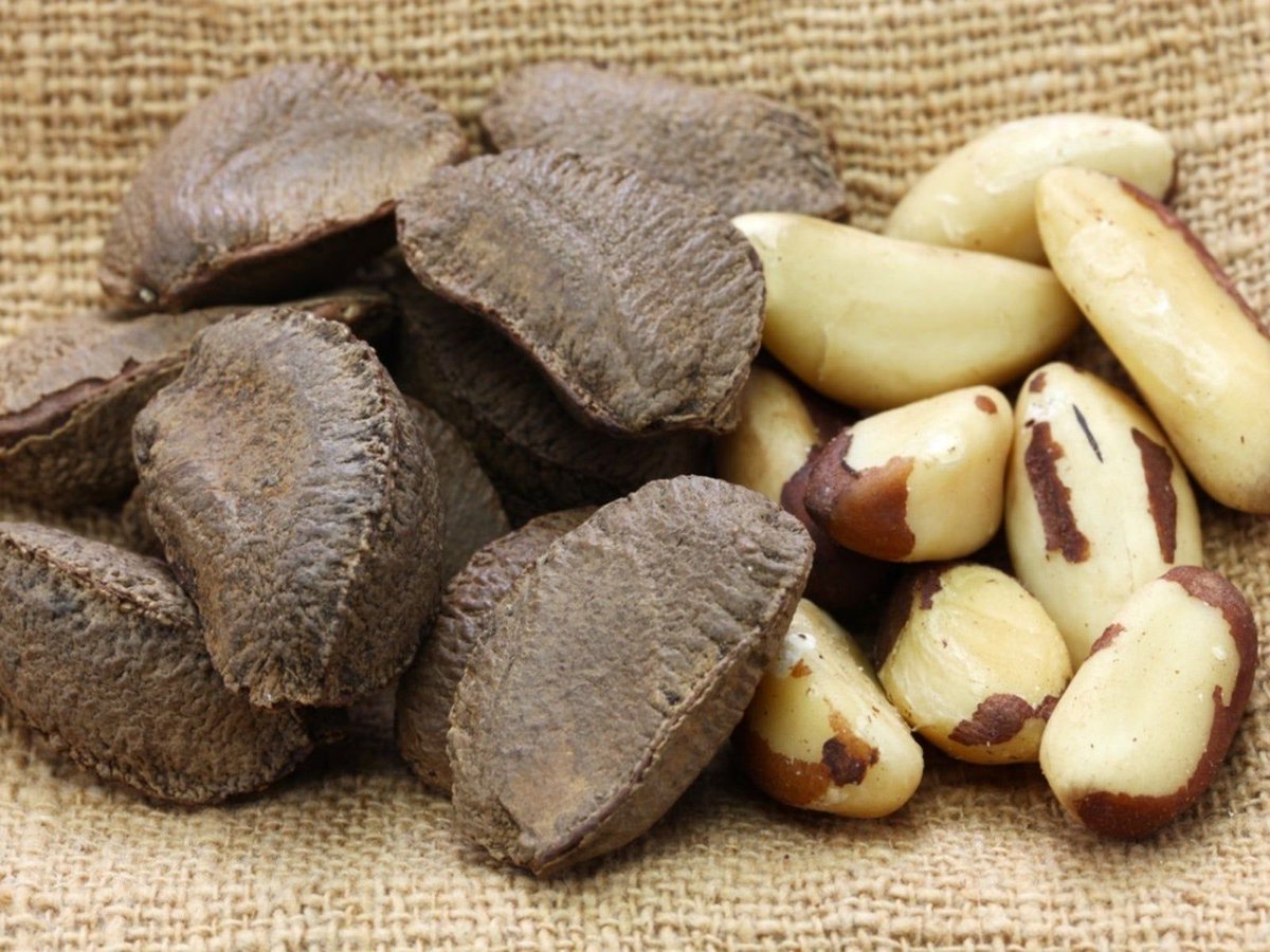 selinawamucii's tweet image. One Brazil nut gives you 100% of your daily selenium needs. 🌰
These nuts are wild-harvested from Amazon trees that live 500+ years they literally cannot be farmed.
Check real-time Brazil nut prices across global markets 👇
🔗 selinawamucii.com
#BrazilNuts #SelinaWamucii