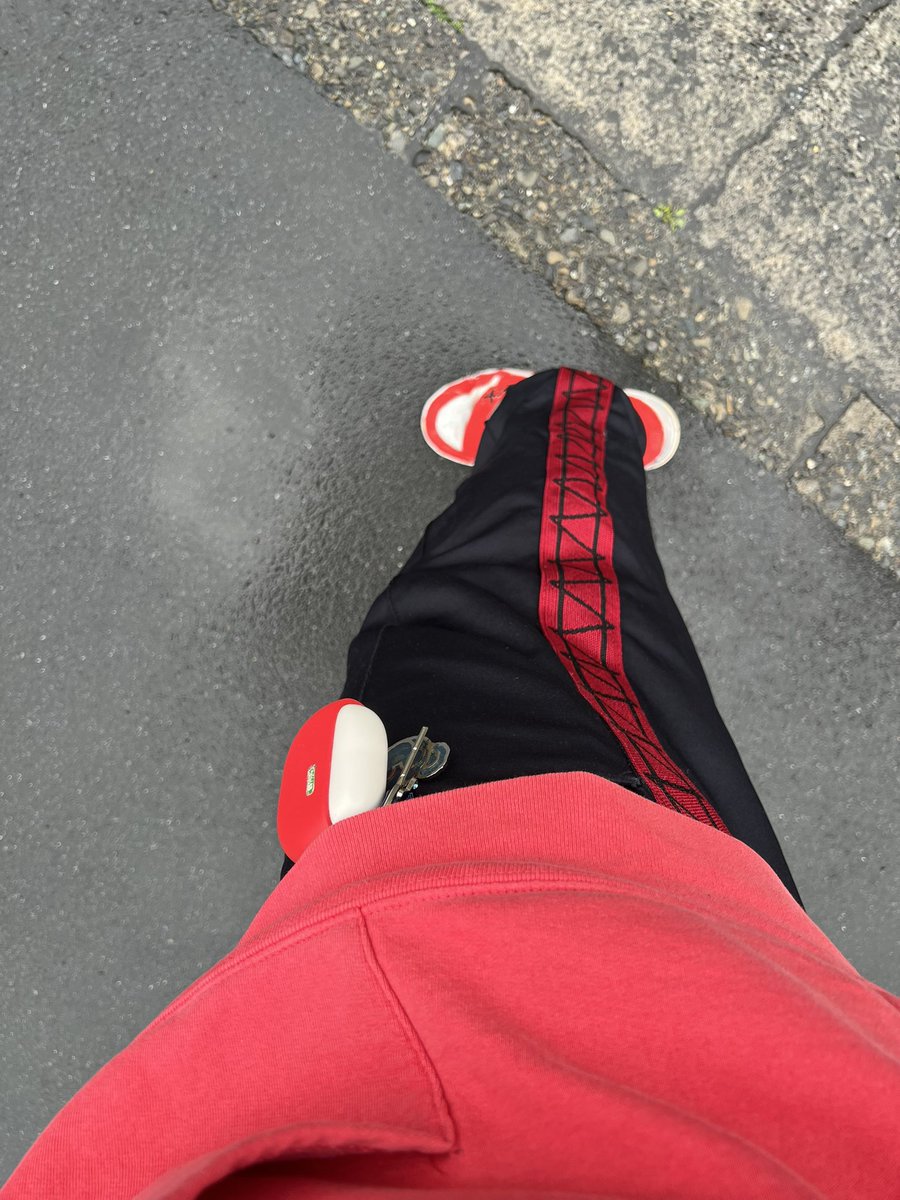 🍍みつや（一旦）🍍（男リス） tweet media