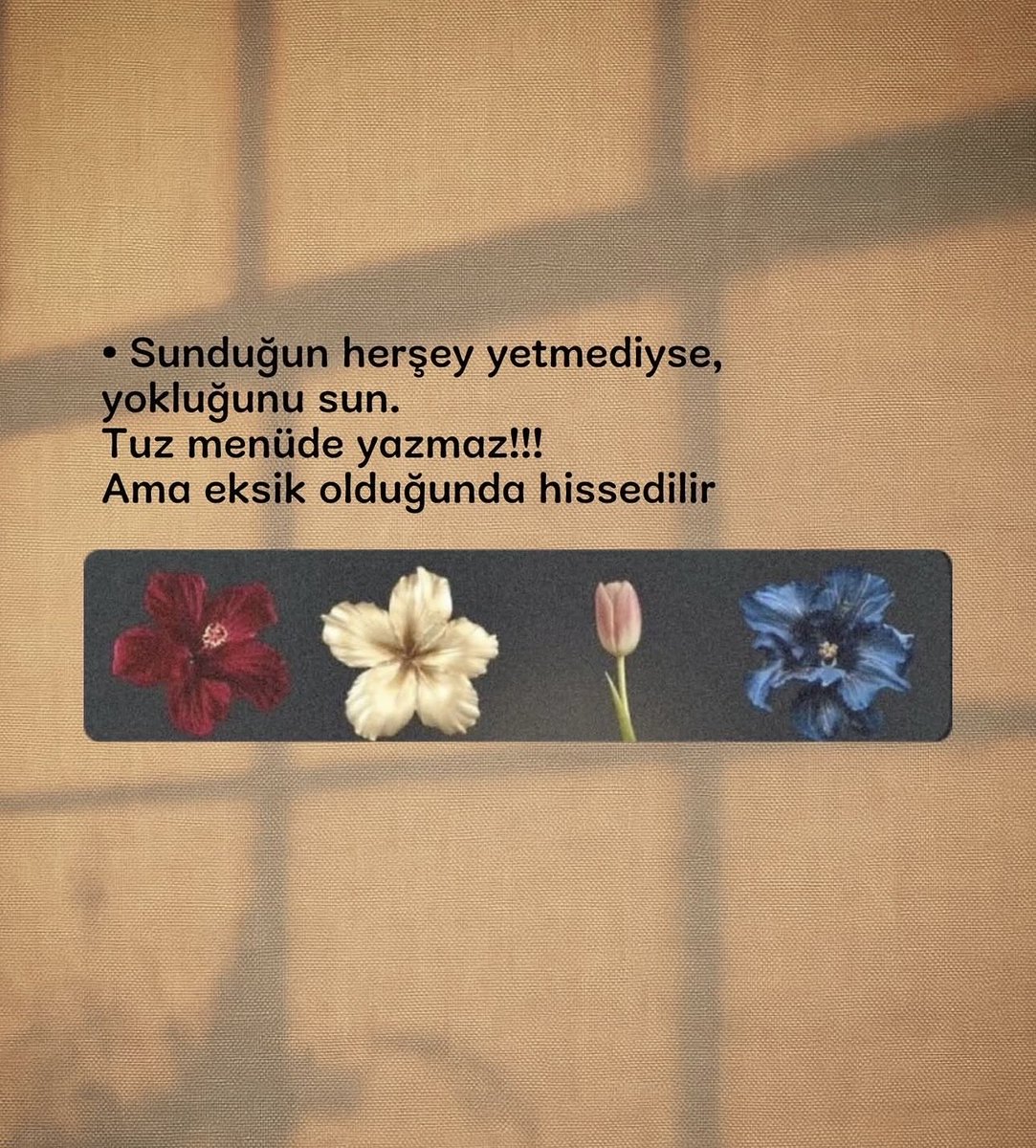 neslihanulusy's tweet photo. https://t.co/sSaNAi6GOL