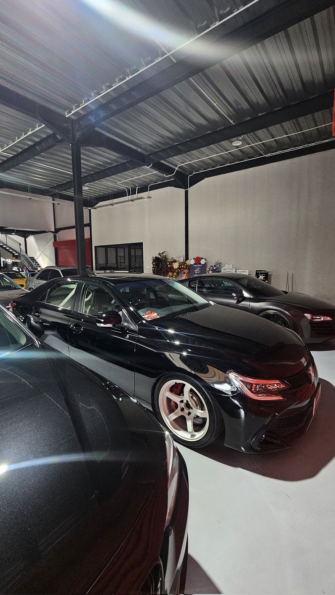 Mas Dillon 🧟♀️🍼🐥 tweet media