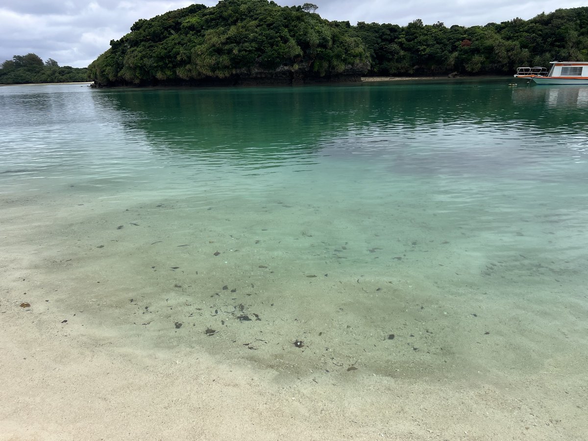 ヒデオマン｜石垣島のリアル(地元歴46年) 🏖️ tweet media