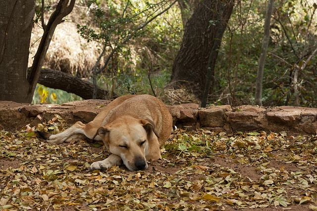 Willie West tweet media