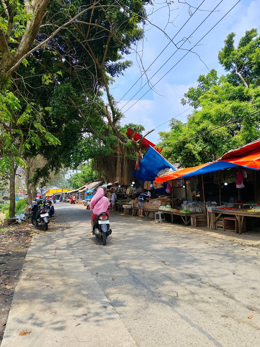 Gavi🚬 tweet media