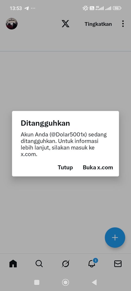 pipit🦅 tweet media