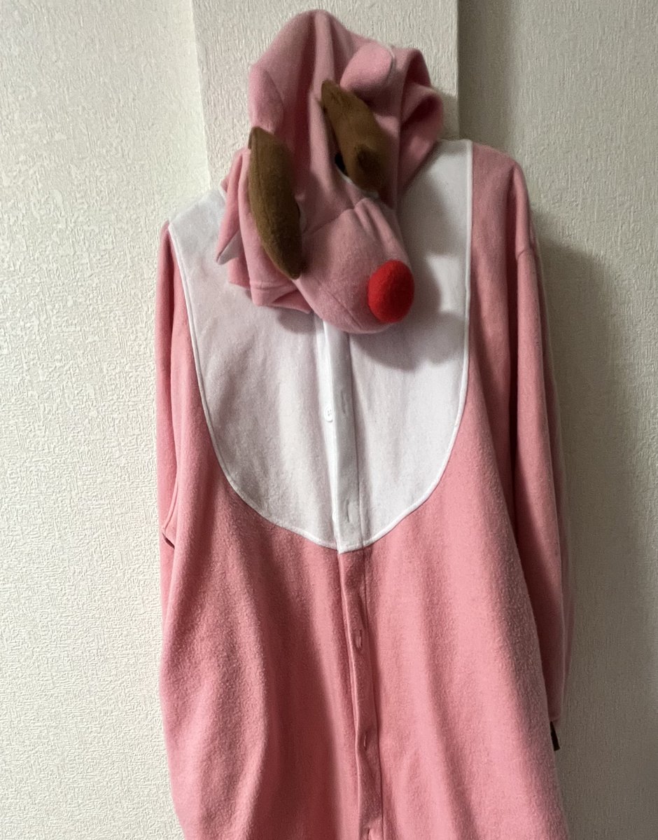 🍍みつや（一旦）🍍（男リス） tweet media