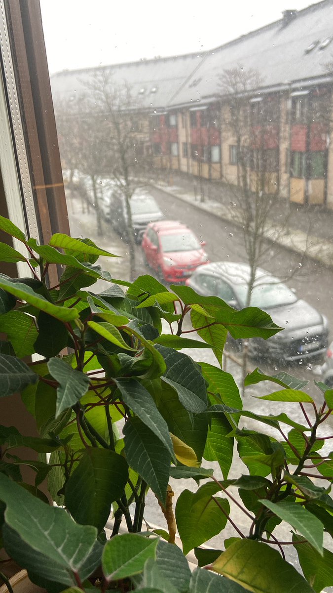 David Goldfarb tweet media