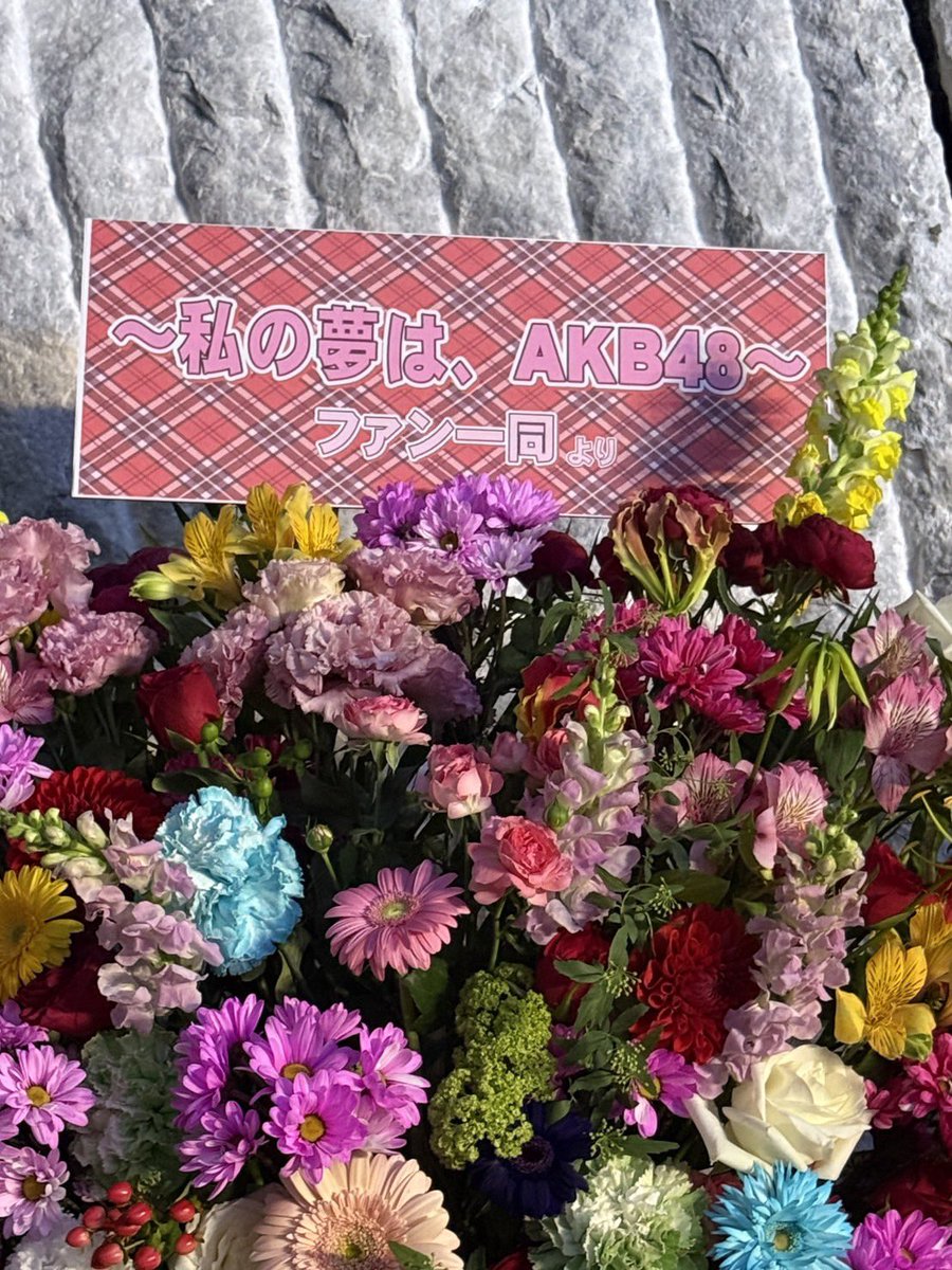 向井地美音卒業企画実行委員会(向井地美音生誕祭実行委員会2026) tweet media