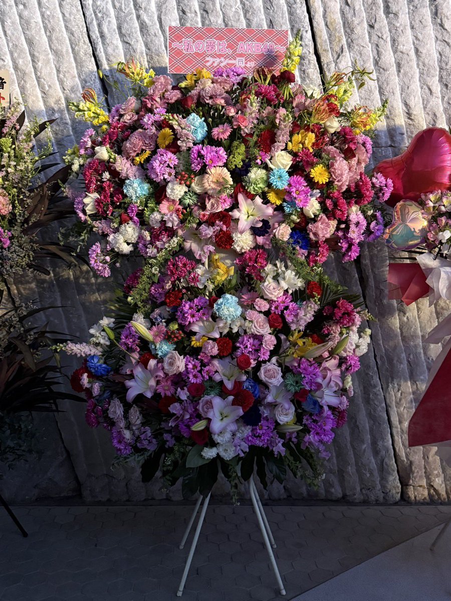 向井地美音卒業企画実行委員会(向井地美音生誕祭実行委員会2026) tweet media