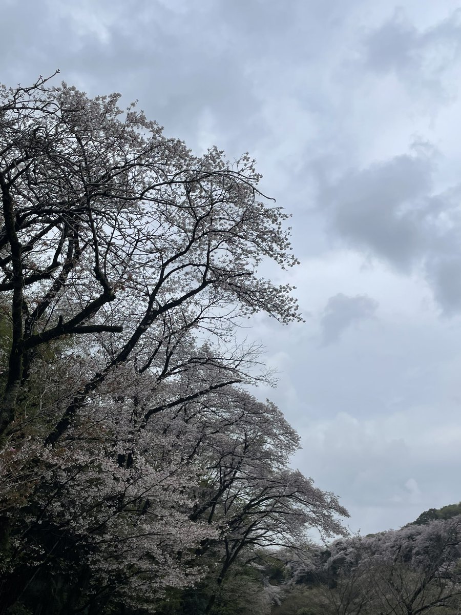 ゆーあ@29a! tweet media