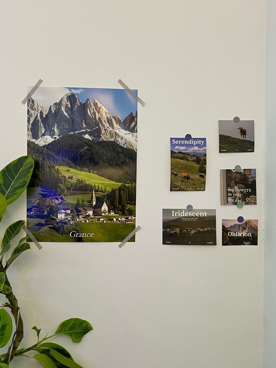 Mia janjic tweet media