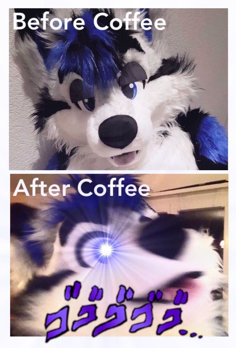 Me before coffee: soft floof, no thoughts
Me after coffee: LET’S RUN 47KM FOR NO REASON!!!!!!!!