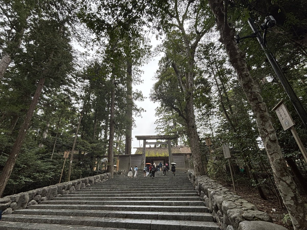 ジョニー(灰) tweet media