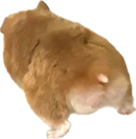 うみー tweet media