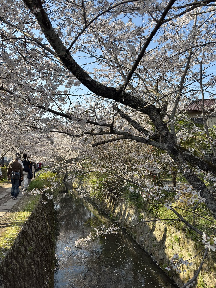 まいしてぶーん tweet media