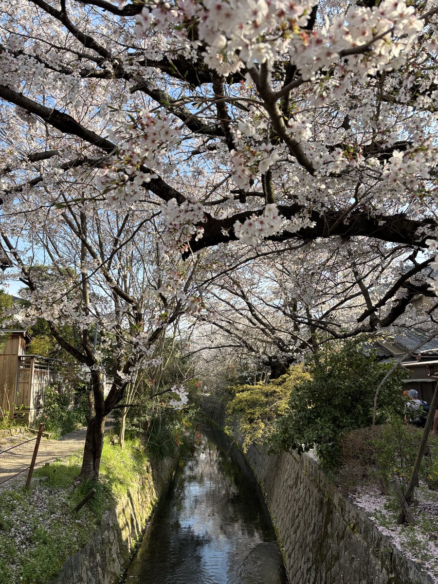 まいしてぶーん tweet media