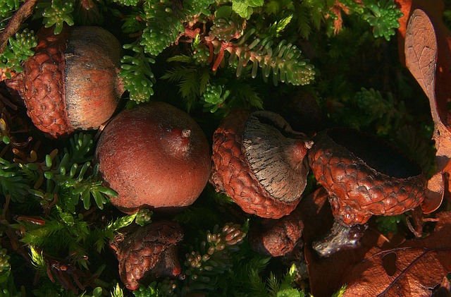 Chris Robinson tweet media