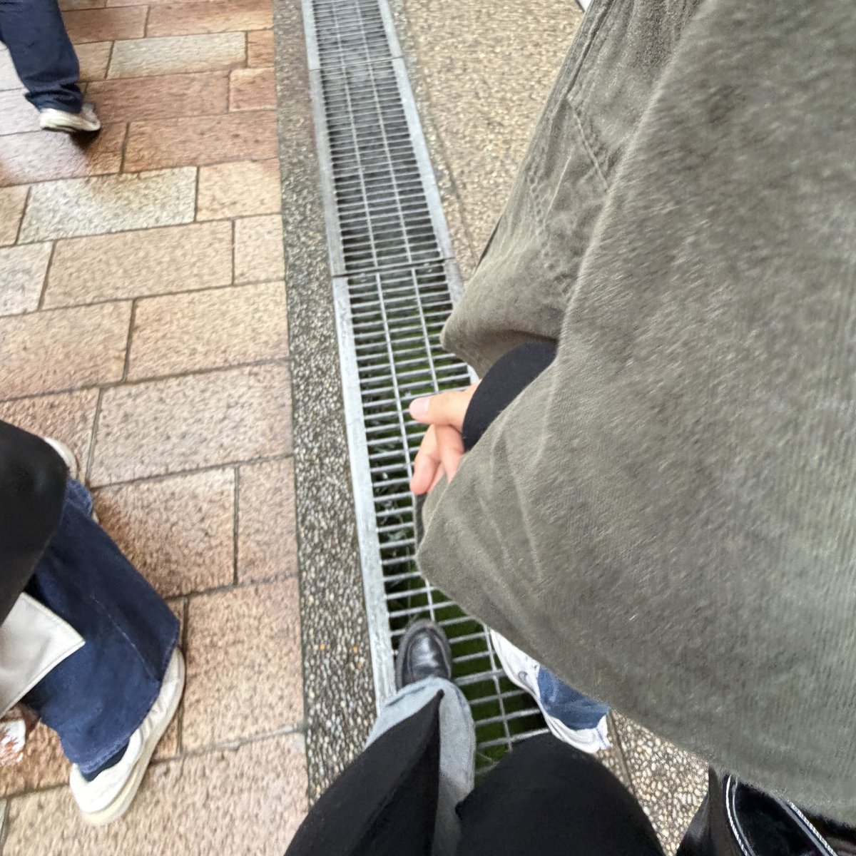 🐶🤍 tweet media