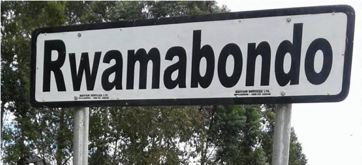 Gloria🦋♥️ tweet media