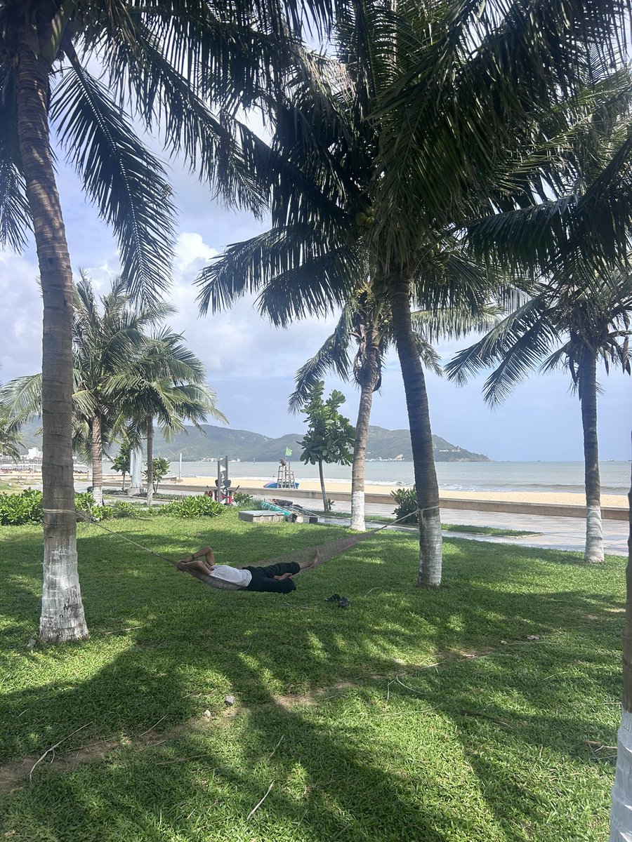 Dilaw 🤌 tweet media