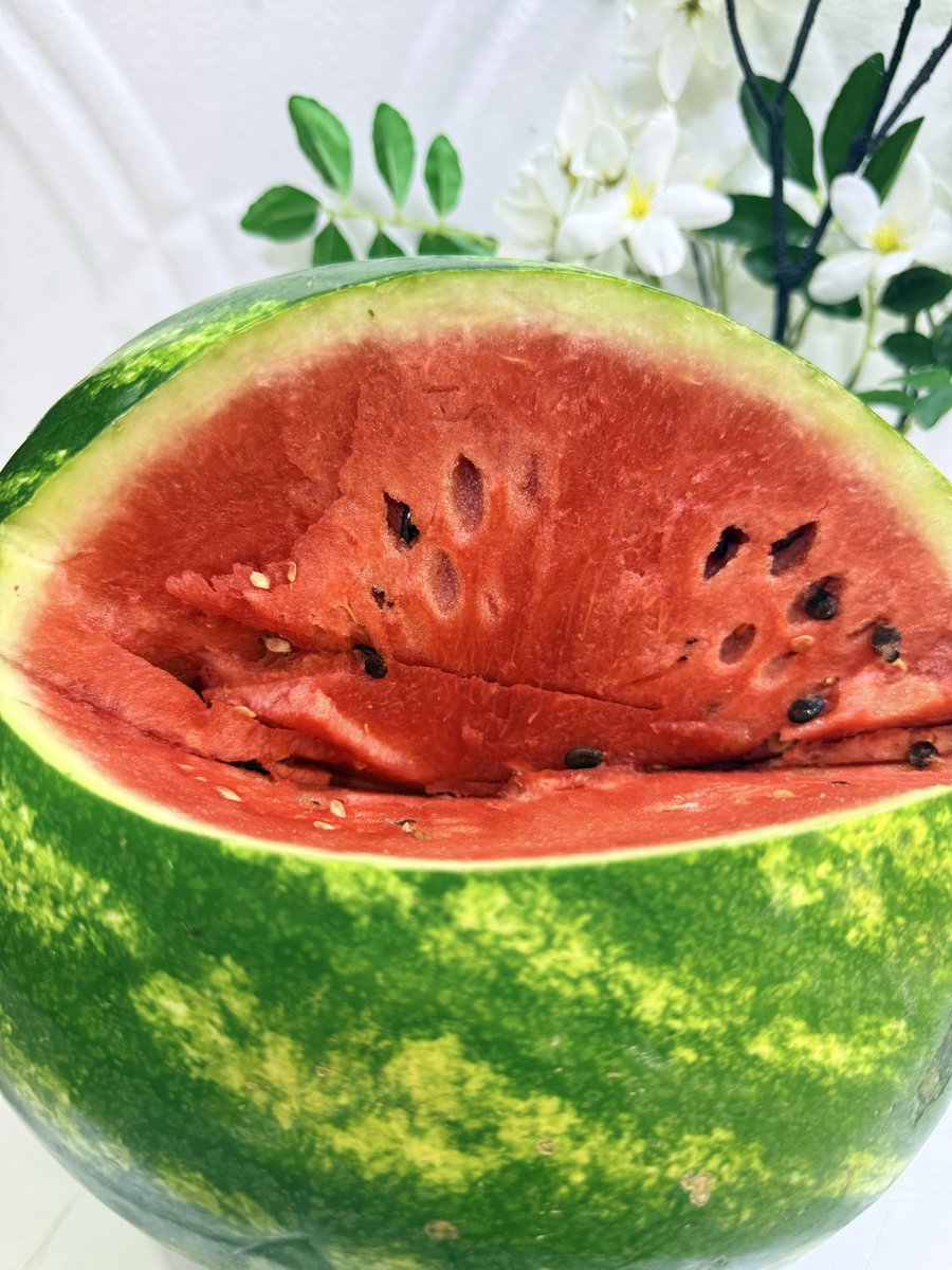 وحيد اكثر من فوييجر tweet media