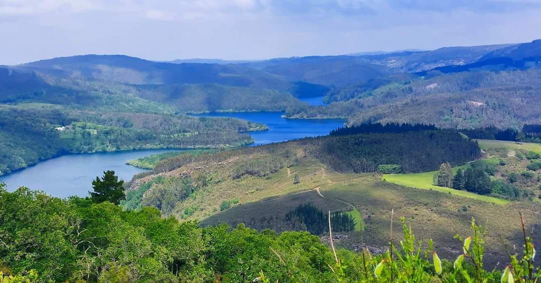 𝓙. 𝓒. 𝓕. tweet media