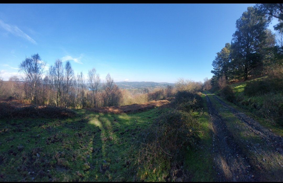 𝓙. 𝓒. 𝓕. tweet media