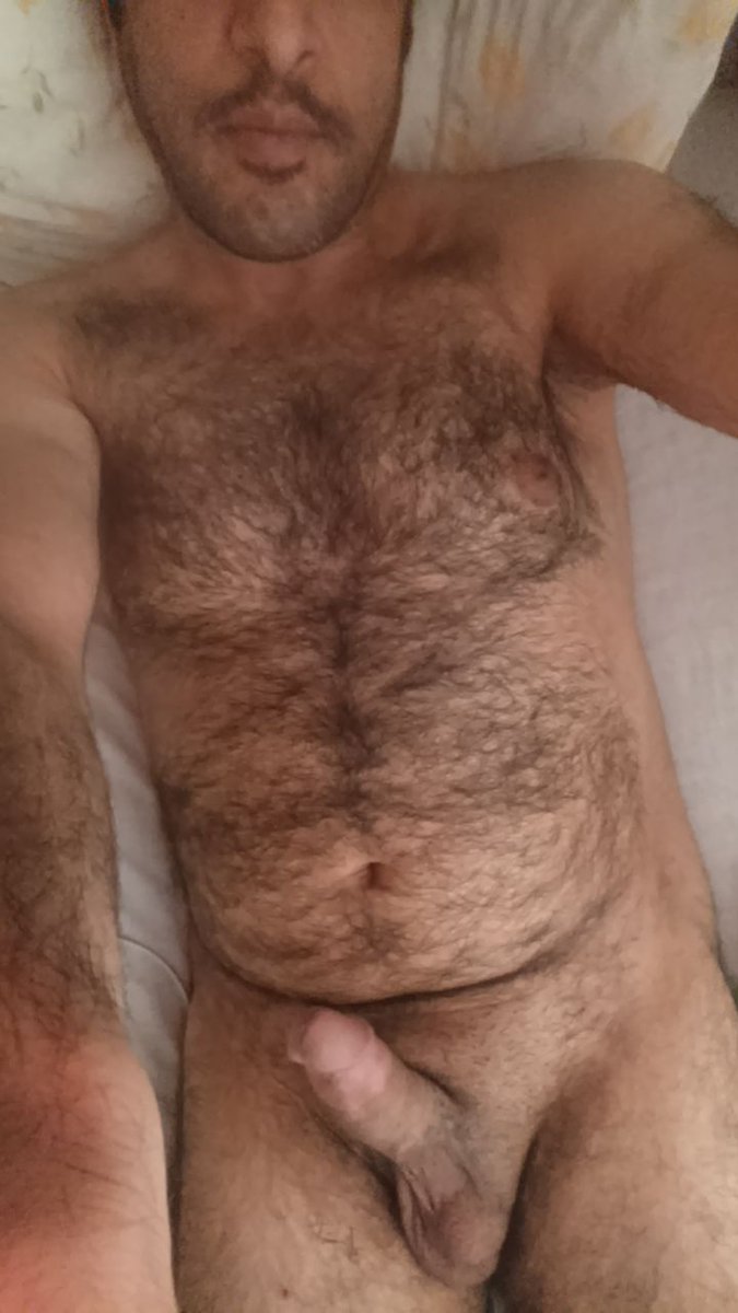 TheLonelyBear tweet media