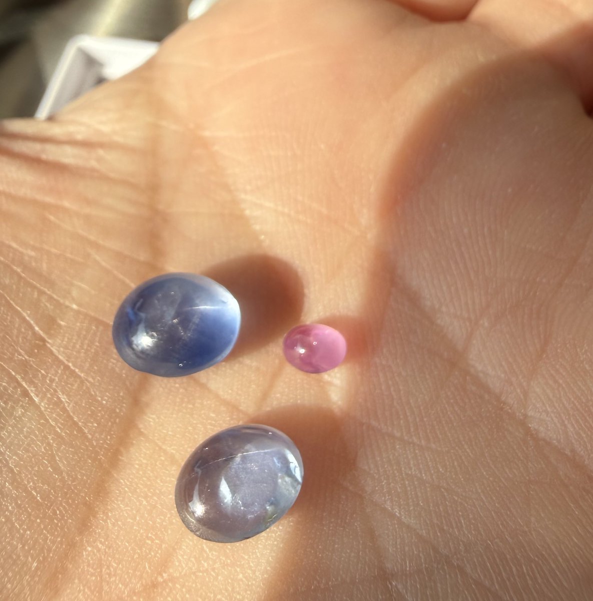 말린상어 tweet media