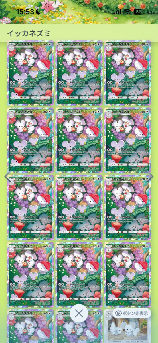 う さ ひ な tweet media