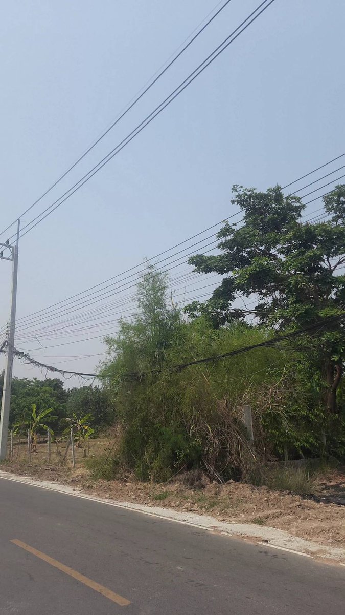 บุญโชติ ดูดวง (Boonchot Horo ) tweet media