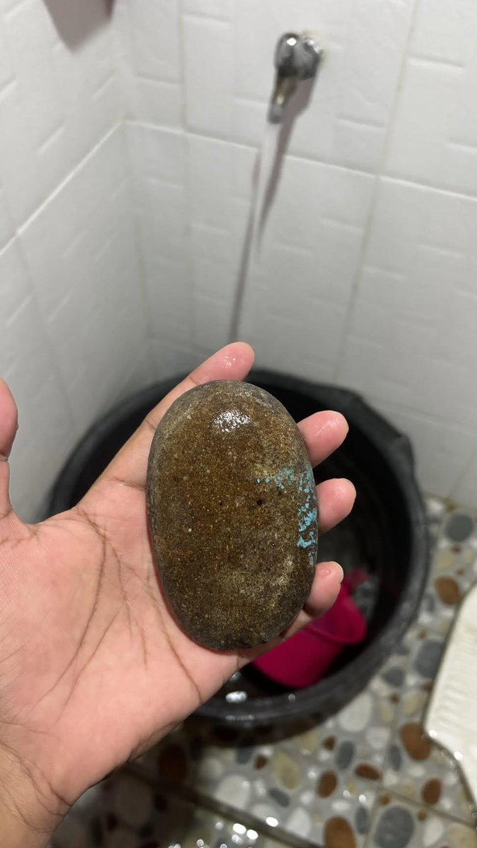 aril piterpen tweet media