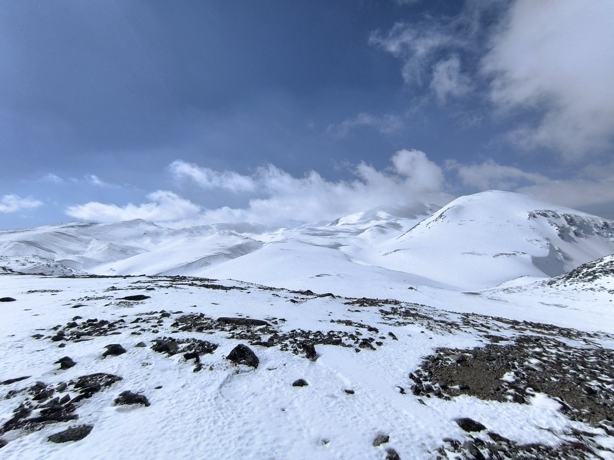 冬❄雪 tweet media