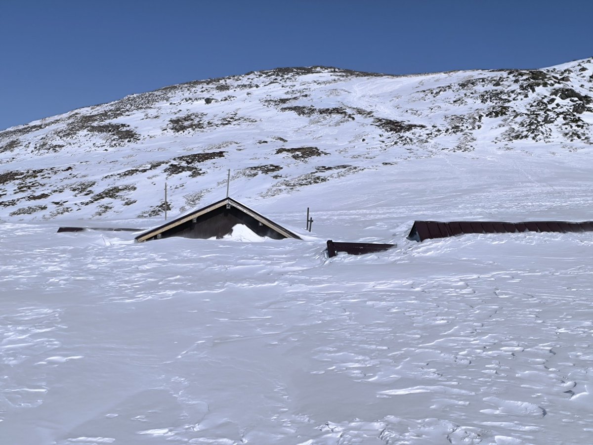 冬❄雪 tweet media