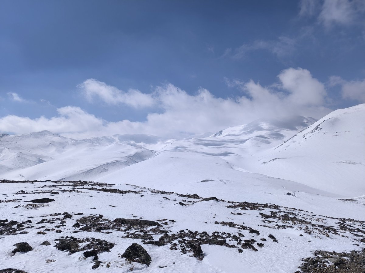 冬❄雪 tweet media