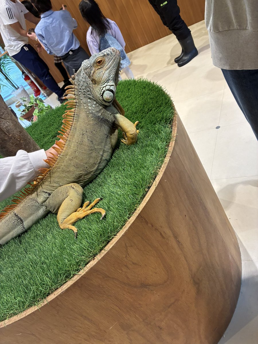 ちょる tweet media