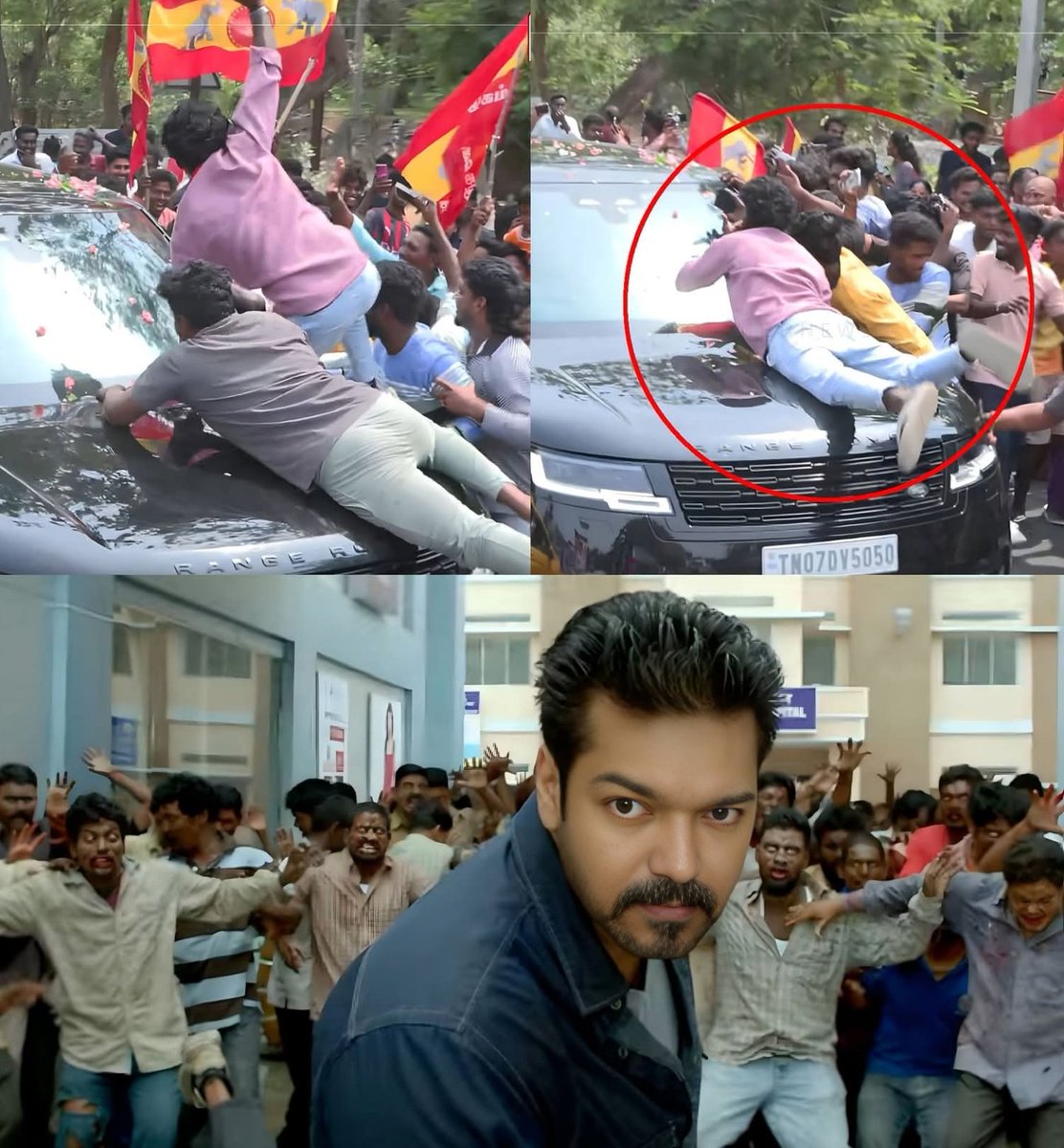 பாக்டீரியா tweet media