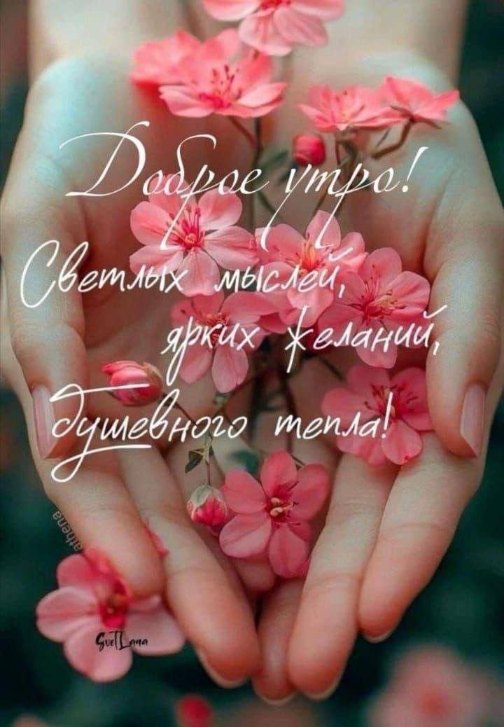 Галина Бушуева tweet media