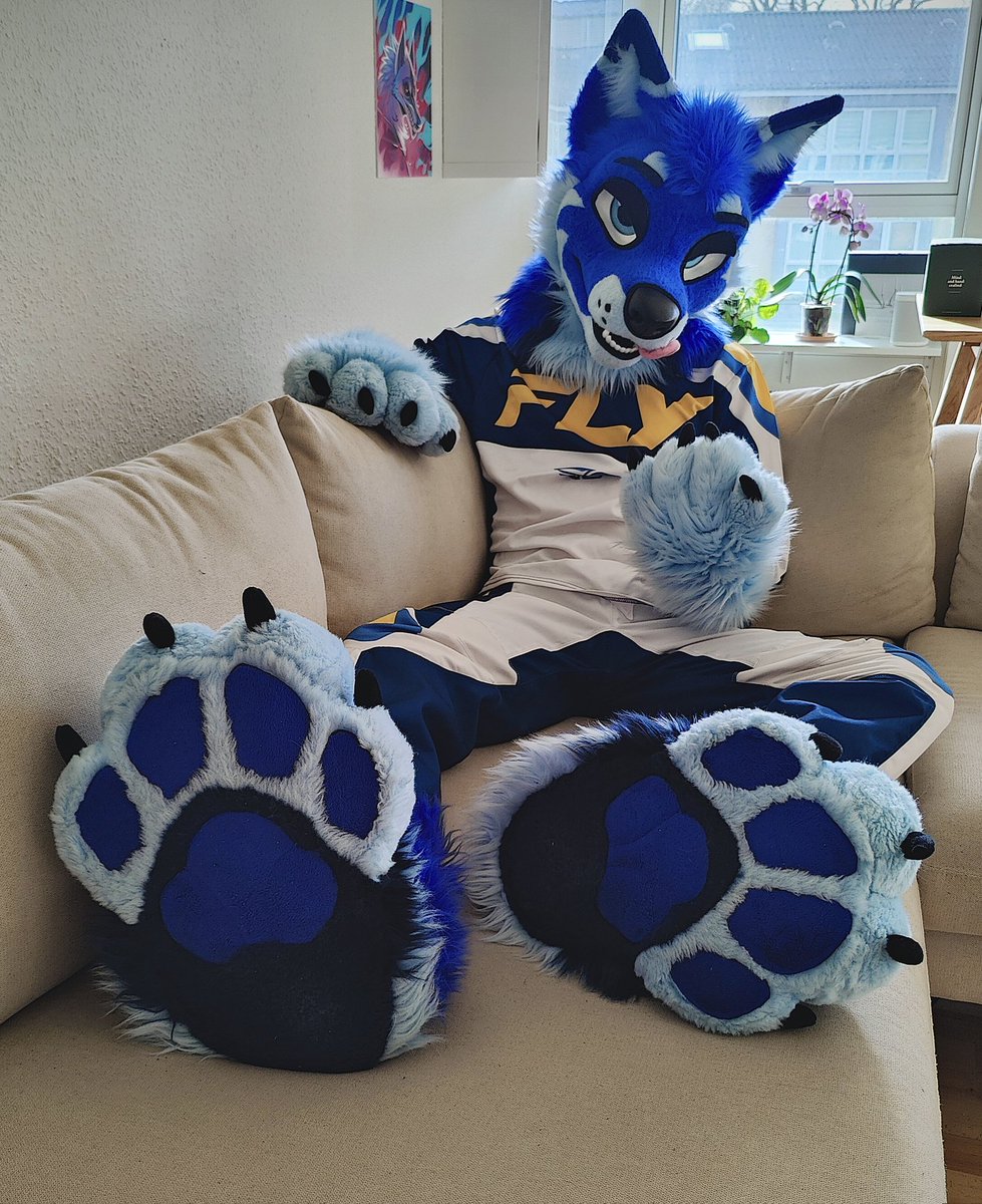 Bluesugar tweet media