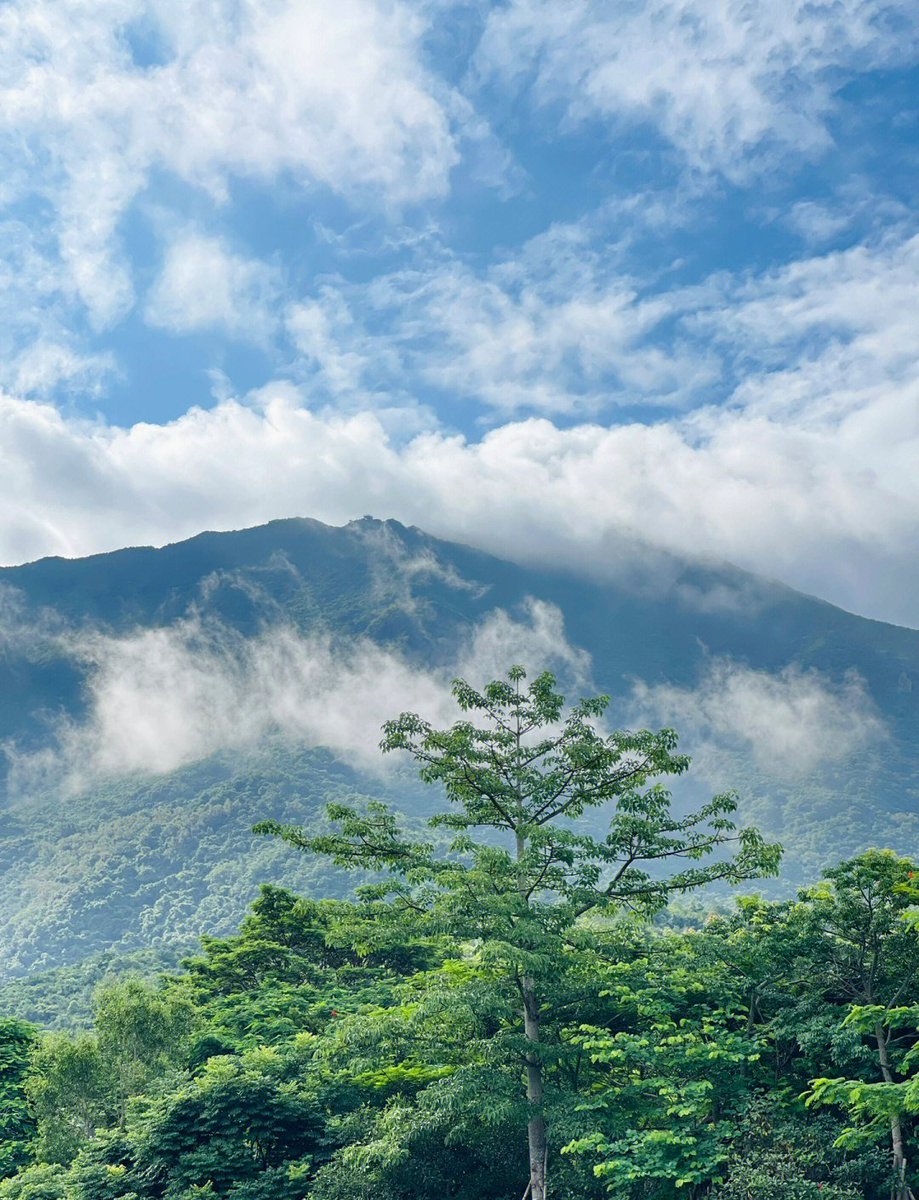 Depuyhip Recall tweet media