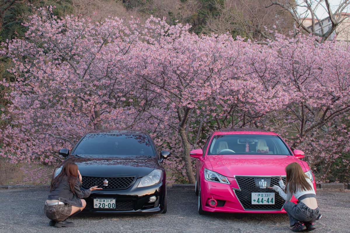 maxam_1112's tweet photo. 桜が咲くと車、バイクの活動活発になる。
あれ？私…花粉？笑

 #yamaha
 #yzfr25
 #toyota
 #210crown https://t.co/khfe2EanEX