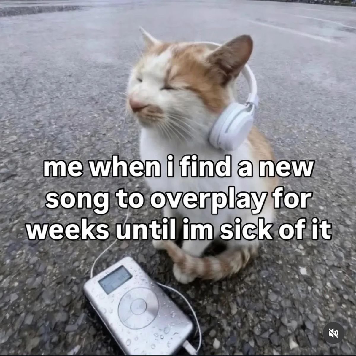 femmenotes tweet media